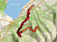Mülimäs z Sachseln