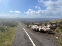 Mullaghanish von Ballyvourney