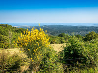 Mur de Courmettes z Le Prieuré