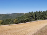 Mur de Putscheid von Stolzembourg