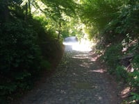 Muur van Rixensart über Sentier du Bûchet
