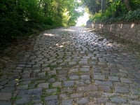Muur van Rixensart über Sentier du Bûchet