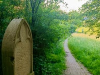 Mur de Saint-Roch von Koenigsmacker