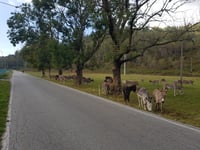 Muro de Sormano