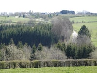 Mürringen via Zur Runden Heide