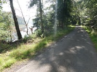 Mützenich von Eupen über Wesertalsperre