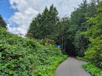 Muur van Emmen von Emmer Ondereinden