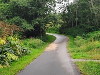 Muur van Emmen von Emmer Ondereinden