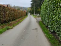 Muziekbosstraat