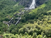 Myrdal from Flåm