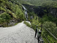 Myrdal from Flåm