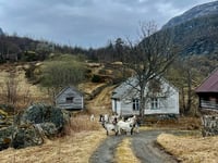 Myrdal from Flåm