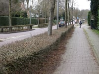 Naarderstraat von Laren