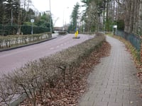 Naarderstraat von Laren