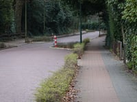 Naarderweg z Blaricum
