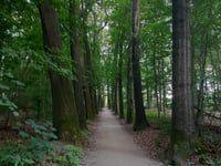 Nazareth von Schaarsbergen