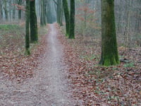 Nazareth von Schaarsbergen