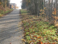 Neanderthalerweg von Trekweg Neercanne