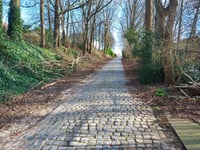 Nederheide por Bossestraat