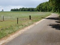 Needse Berg via De Venneriet