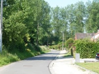 Negenoog