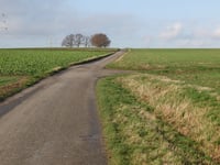 Nelisweg von Brand