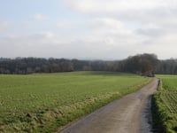 Nelisweg von Brand