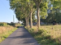 Neringberg via Haantjesstraat