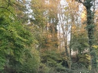Neroberg von Wiesbaden