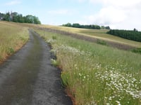 Neuastenberg über Zum Zwistkopf