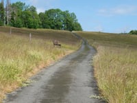 Neuastenberg über Zum Zwistkopf