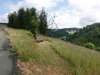 Neuastenberg über Zum Zwistkopf