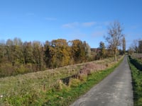 Neuve Rue
