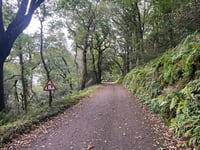 New Road da Porlock