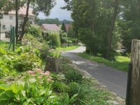 Niegoszów