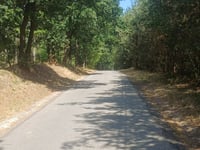 Nielerlochstraat