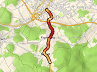 Niesass da Oberviechtach