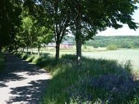 Nieuw Erensteinerweg