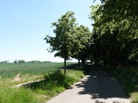 Nieuw Erensteinerweg
