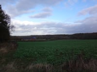 Nieuw Erensteinerweg