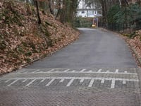Nieuwe Holleweg via Van der Veurweg
