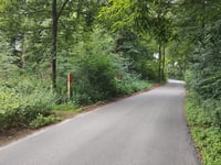 Nieuwe Keijenbergseweg from Renkums Beekdal