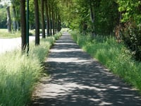 Nieuwe Veenendaalseweg