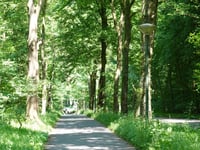 Nieuwe Veenendaalseweg