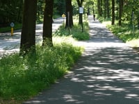 Nieuwe Veenendaalseweg