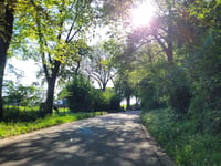 Nieuwenhuysstraat da Aalbeek