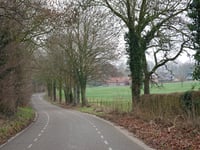 Nieuwenhuysstraat da Aalbeek