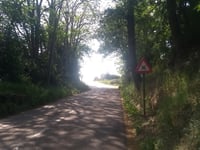 Nieuwrodese Steenweg da Aarschot
