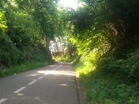 Nieuwrodese Steenweg from Aarschot