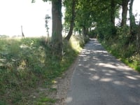 Nijsenberg